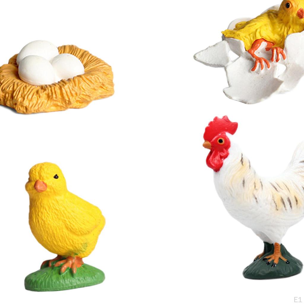 Chicken Growth Cycle Set,Teaching Aids Classroom,Learning,Early Education,Animals Figurine