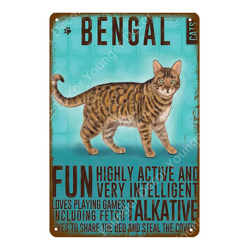 Animal Dog Cat Vintage Metal Poster Home Decor Retro Tin Sign For Pub Bar Club Decorative Plate Poodle Wall Plaque