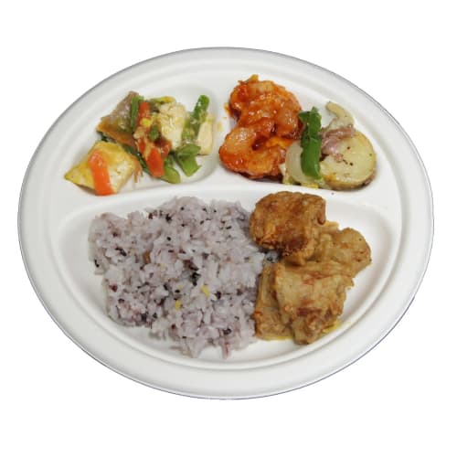 Disposable, Durable Paper Plates, Eco-friendly and Stylish, E-mold, 23cm, with Dividers, P012, 50 Count