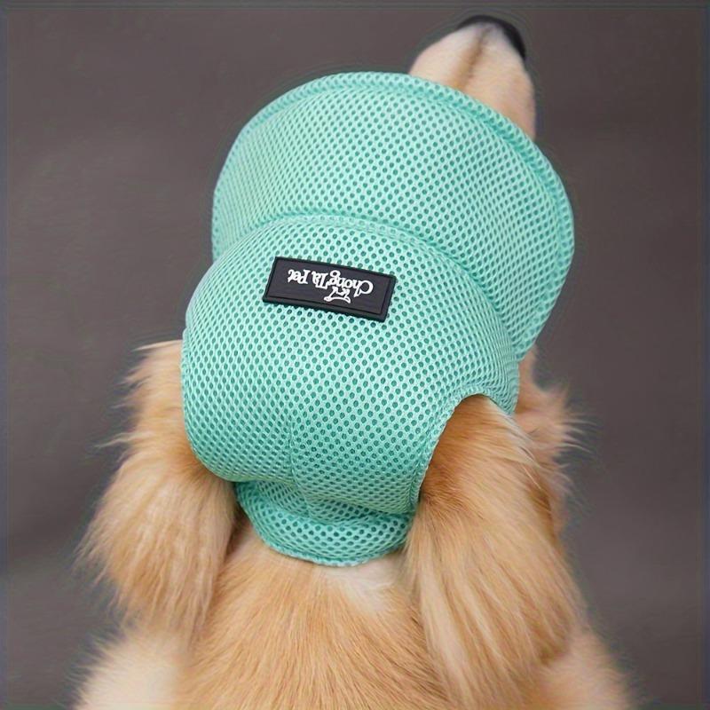 Breathable Mesh Baseball Cap for Dogs Featuring Ear Holes - a Trendy Light Green Hat Suitable for Golden Retrievers, Corgis