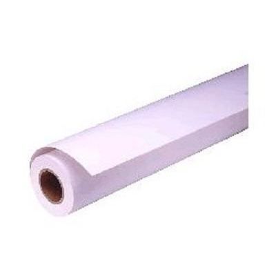 Papier Photo Epson C13S041725 - Blanc - 43,2 Cm X 30,5 M - Photos