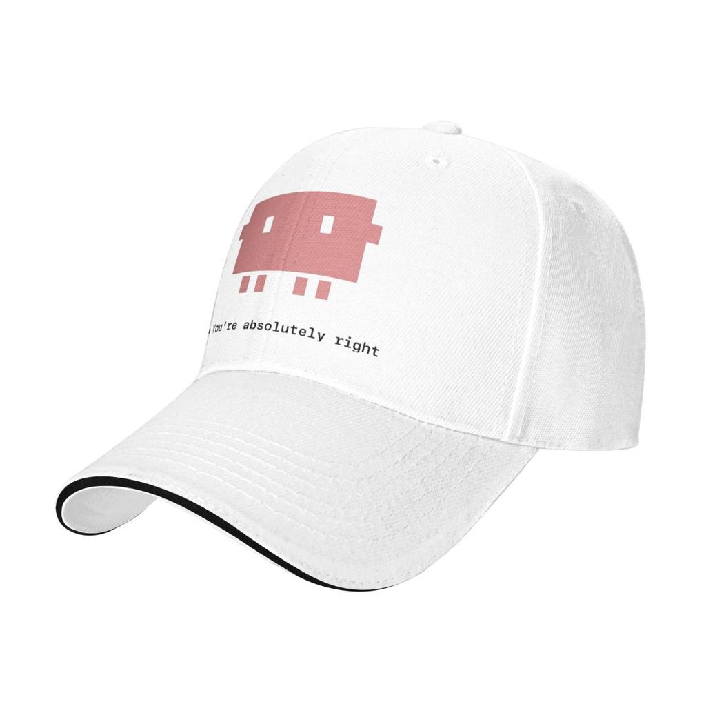 Baseball Caps Claude Code Customized FeUnisex Unisex Casual Summer Hats