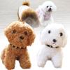 Mignon Porte-clés Peluche Chien Teddy Pour Sacs Et Clés Animal en Peluche Doux