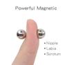 Strong Magnetic Nipple & Labia Clamps: Erotic Teasing Toys for Couples