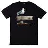 T-Shirt Sommer Möwen Motiv BaumwolleWird in neuem Fenster oder Tab geöffnet
