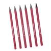 6 PCS Graphite Pencil Set HB 2B 4B 6B 8B EE Professional Woodless Graphite Pencils for Drawing Sketching Shading
