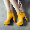 2025 Autumn and Winter New Short Boots High Heel Waterproof Platform with Metal Buckle Style Simple Fashion Boots