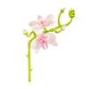 Plant And Flower Building Blocks Building Set, Single Rose, Sunflower, Tulip, Etc., Home Decoration Block Toy Gift For Girls
