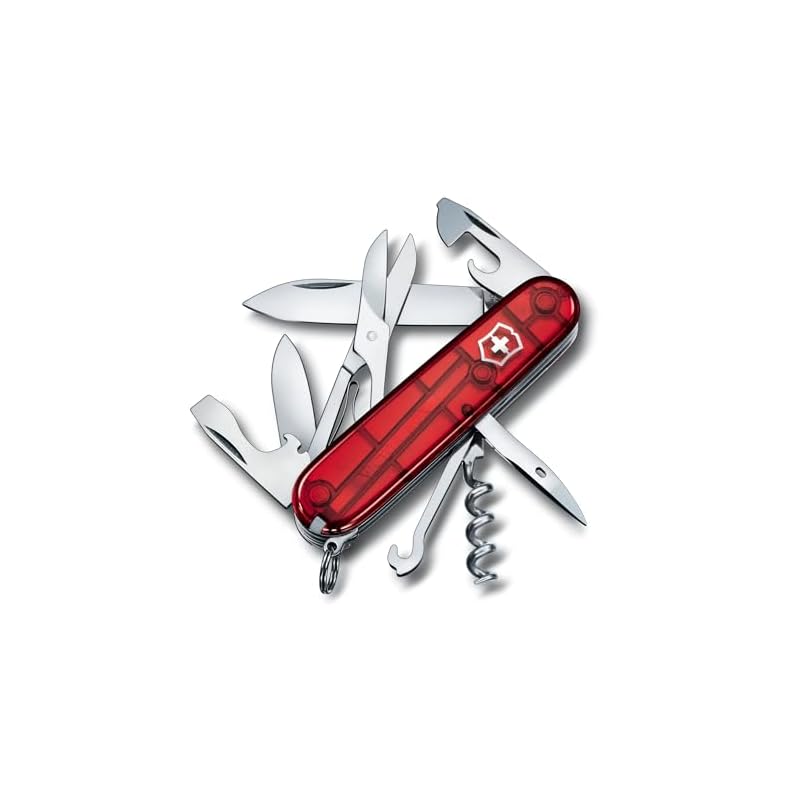 VICTORINOX Cyber Traveler T (1.3703.T)