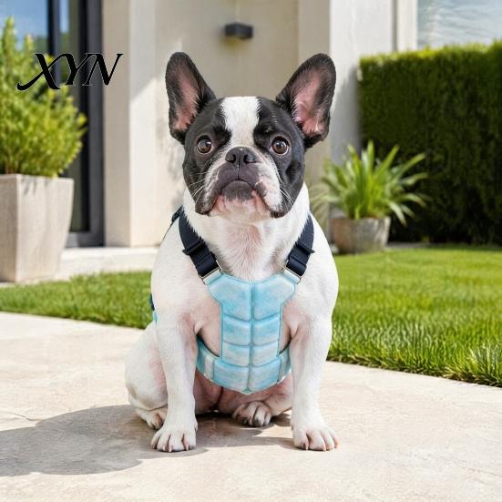 Pet Overheating Prevention Gear Dog Cooling Vest, Breathable Coat with Gel Ice Packs, Harness for Dogs Summer Jacket Large Medium Small Vest
