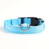 LED Dog Leash (L/Blue)
