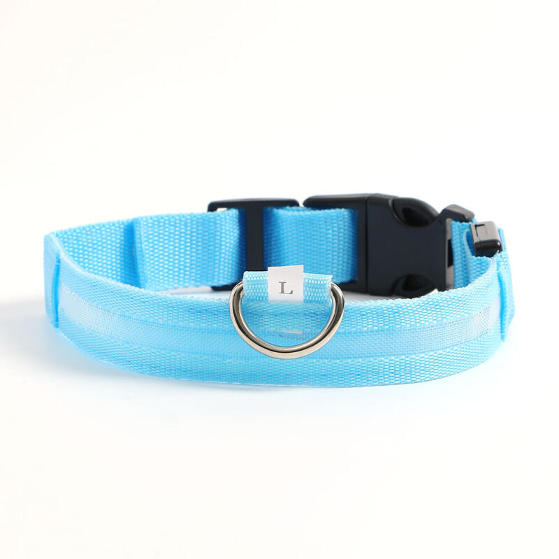 LED Dog Leash (L/Blue)