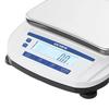 LICHEN 0.01g Precision Electronic Balance (CN version)