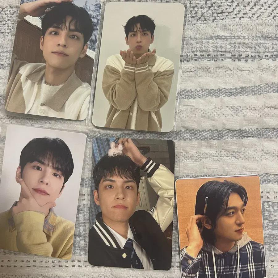 DAY6 Wonpil Photocard Postcard Batch