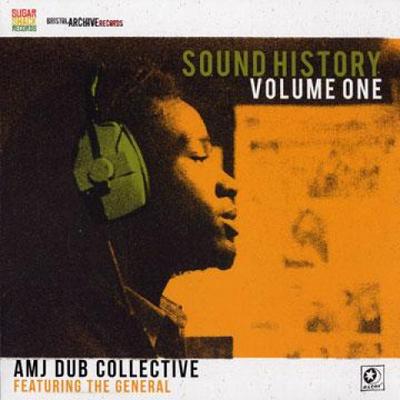 12inch Record AMJ DUB COLLECTIVE - Sound History; Level Vibe (Picture  FODO090V Sugar Shack/Bri 2012 UK Reggae, Ska & Dub