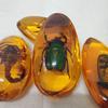 1Pc Insects Amber Gemstone Scorpion Natural Mineral Home Decor Insects Amber Gemstone Diy Hand Crafts Gift