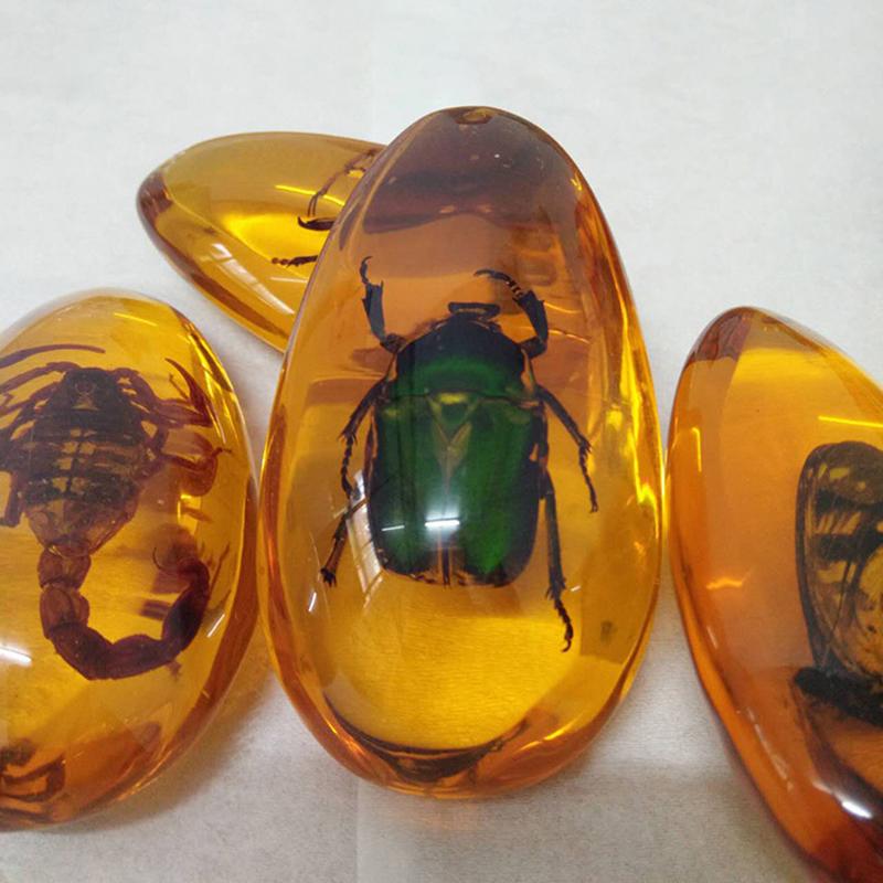 1Pc Insects Amber Gemstone Scorpion Natural Mineral Home Decor Insects Amber Gemstone Diy Hand Crafts Gift