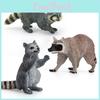 Miniature Raccoon Pvc Model For Childrens Educational Toy And Animal Collection