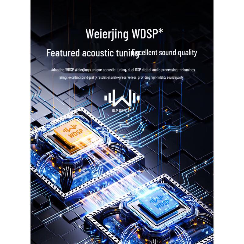 W-King T16PLUS 300W Portable KTV Bluetooth Speaker