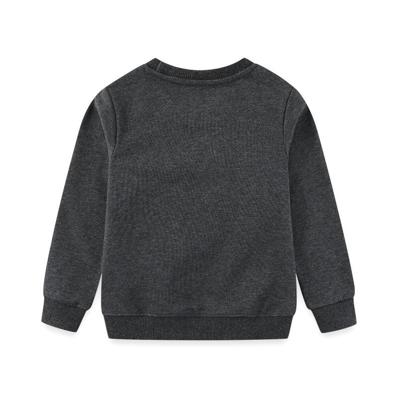 Kids' Long Sleeve Hoodie - Autumn/Winter Collection for Boys - Small & Medium Sizes - European & American Style