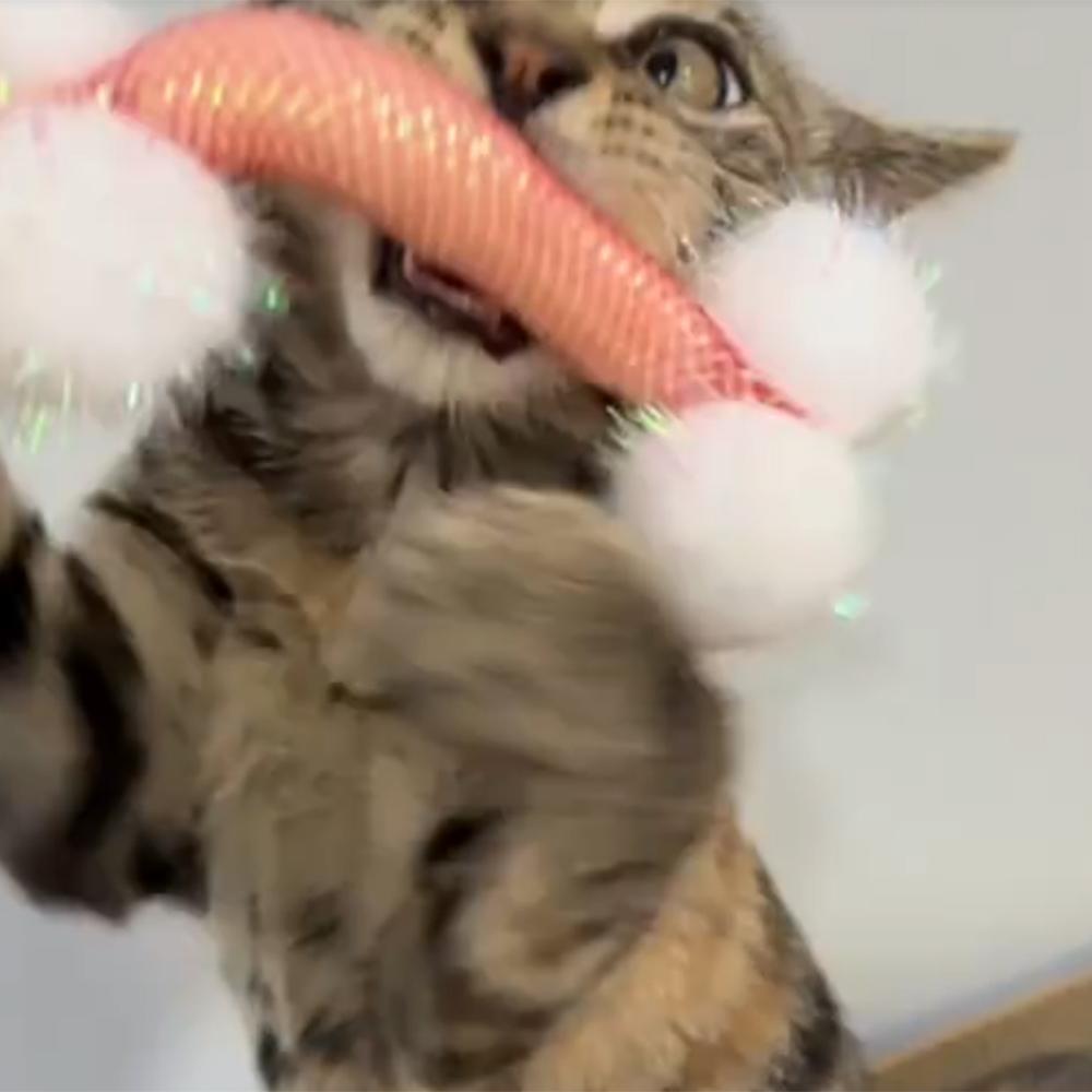 3pcs Cute Plush Ball Cat Toy Elastic Mesh Tube Kitten Pet Toy