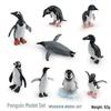Realistic Arctic Animal Models: Polar Bear, Arctic Fox, Seal, Walrus, Whale