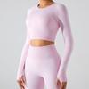 Yoga Clothes Suit Women's 2023 New Arrival Fall and Winter Tight Long Sleeves Fitness Clothes Tops Fancy Bright Color Sports Quick-Drying