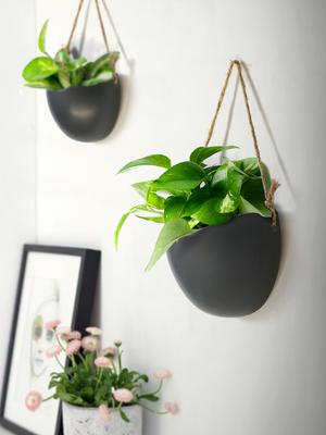 Nordic Ceramic Flower Pendant Decoration Creative Wall Hanging Hydroponic Simple Hanging Basket Hanging Wall Flower Pot