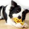 Wear Resistant Dog Hiding Food Toys Bite Resistant Dog Slow Food Toys Creative Dog Toys  Self Happy
