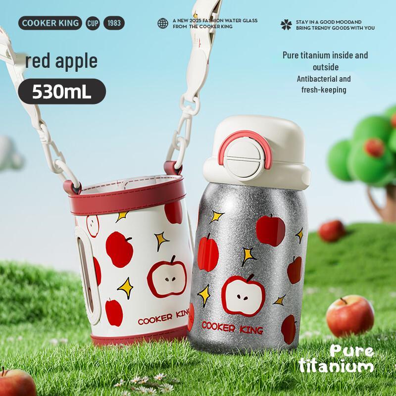 COOKER KING Children s Titanium Insulated Water Bottle, 530ml