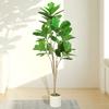 150cm Artificial Ficus Tree - Green