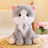 Super Cute Cat Plush Toy with Pendant, 8 Inch Kitten Stuffed Animal Doll, Birthday Gift for Girls, Claw Machine Prize