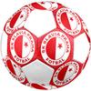 SK Slavia Praha Soccer Ball, Colorful, Suitable for All Ages, Machine-stitched, PVC Material, Competition Grade, Durable and High Bounce