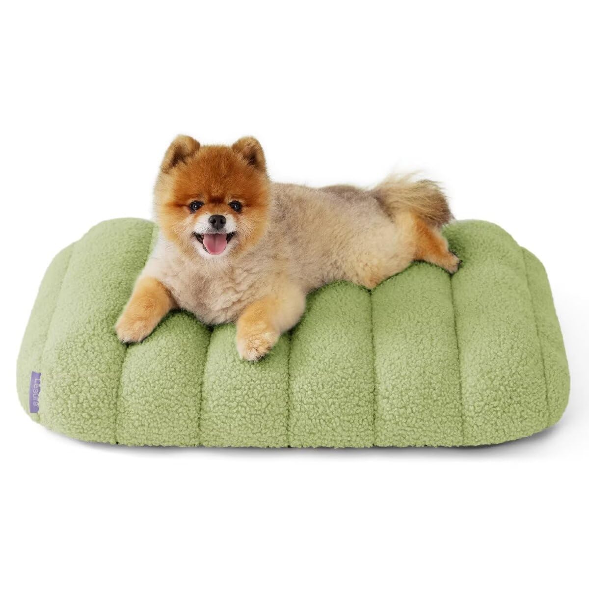 

Lesure Кровать для собаки, питомца, кошки, со съемным, простым в, подходящим для пожилых, маленьких и средних, и милая кровать для питомца, кровать, водонепроницаемая, подушка, пушистая, с высокой упругостью, зелёный