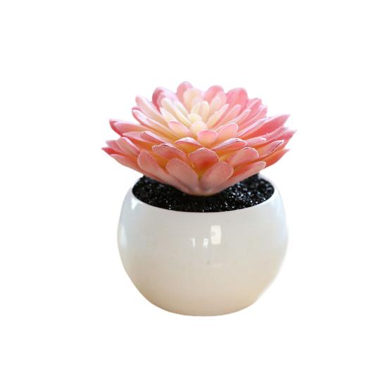 Fałszywe rośliny doniczkowe Odporne na warunki pogodowe rekwizyty fotograficzne Szerokie zastosowanie Doskonałe mini sukulenty Biurko Akcesoria domowe doniczkowe