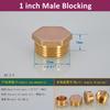 1/8 1/4 3/8 1/2 3/4 Male Female Thread Brass Pipe Hex Head End Cap Plug Fitting Quick Connector Brass Universal Faucet Adapter