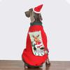 Bekleidung & Schuhe – Hundehoodies