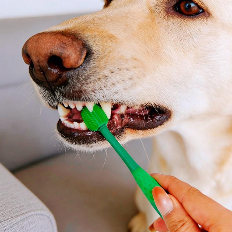 Dog Toothbrush Set Pet Toothbrush 3PCS Double Head Toothbrushes for Dog Teeth Cleaning Oral Care Cat Toothbrushes Pet Supplies