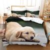 Labrador Dog Duvet Set 3D Digital Printing Bedding Set Three-Piece Bedroom Decoration