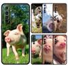 Handyhülle Für Realme 12 11 10 9 8 5G 7 6 GT5 GT3 GT2 Pro Plus C21 C11 C25 C35 Süßes kleines Rosa Schwein GT Neo 2 3 3T 5 Hülle