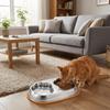Single/Double Bowl Stainless Steel Cat Bowl Large Capacity Non Slip Pet Water Feeder with Silicone Mat Pet Food Container