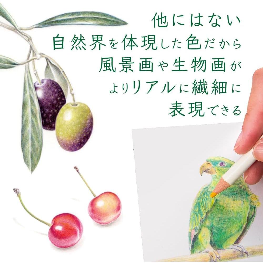 Tombow Colored Pencils [All 4 Types] (Book Case) - Irojiten Dictionary