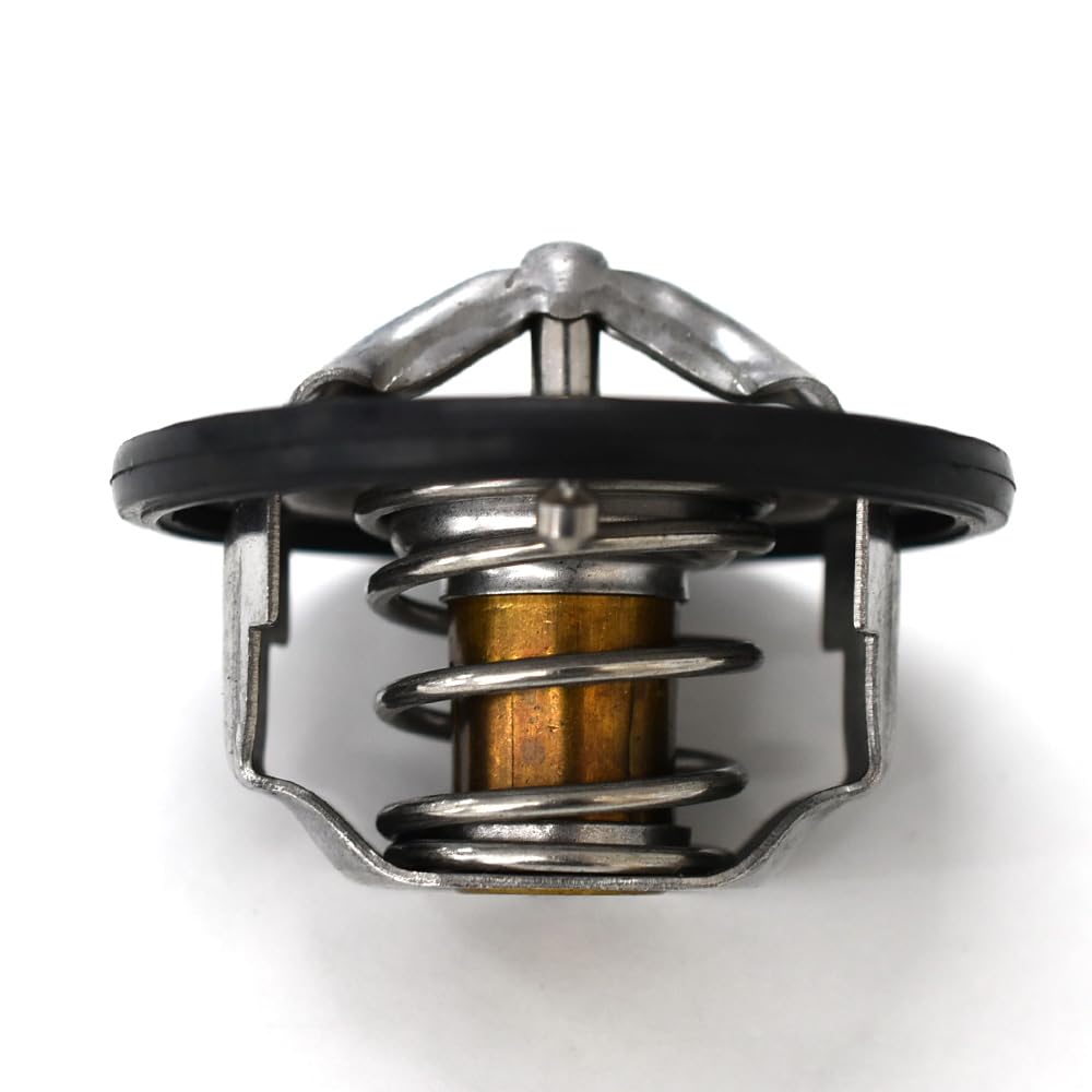 Thermostat with Gasket TS-226P