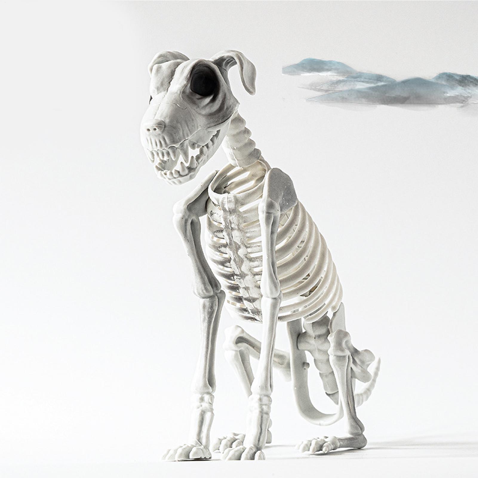 

Halloween Skeleton Dog Plastic Puppy Skeleton Sculpture Realistic Halloween Skeleton Dog Statue Skull Bone Art Ornaments CN