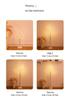 White Birch LED Tree Lights with Remote - Indoor/Outdoor Decorative Lighting