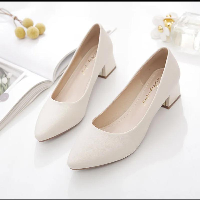 Spring and Summer Four Seasons New Pointed Thick Heel High Heels Women's Mature Casual Professional Dress Work Shoes Women's Single Shoes