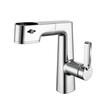 Qidanna Electroplated Pull-Out Bathroom Faucet