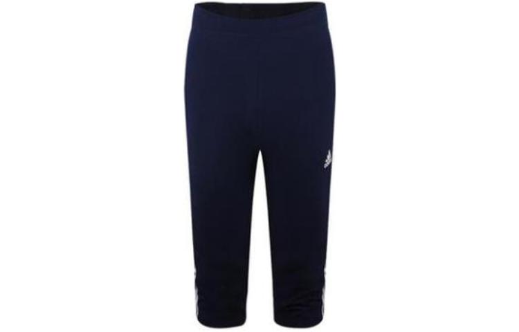 Adidas Kids Shorts Moderate DV1419 164
