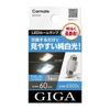 GIGA T10x31 LED Interior Bulb 6500K BW30
