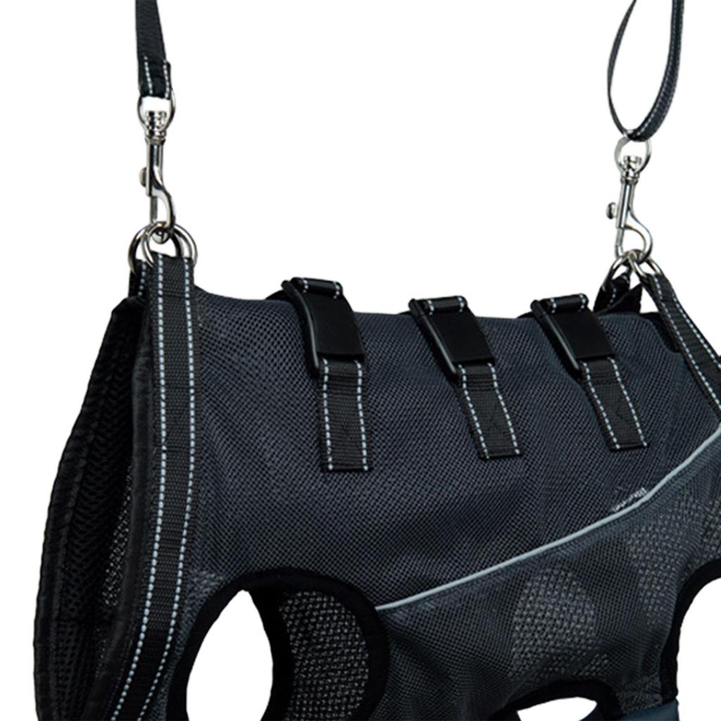 Imbragatura di supporto regolabile per cani anziani con problemi alle articolazioni
